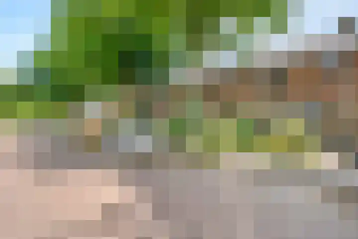 Vivaldistraat 84 Zwolle thumbnail 26