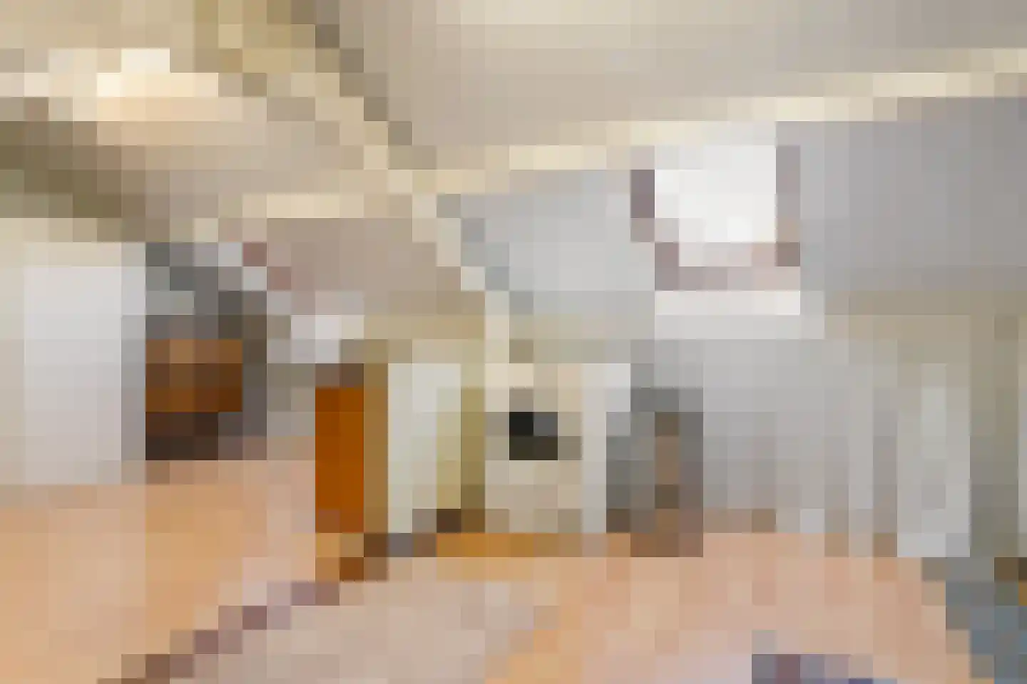 Vivaldistraat 95 Tilburg thumbnail 20