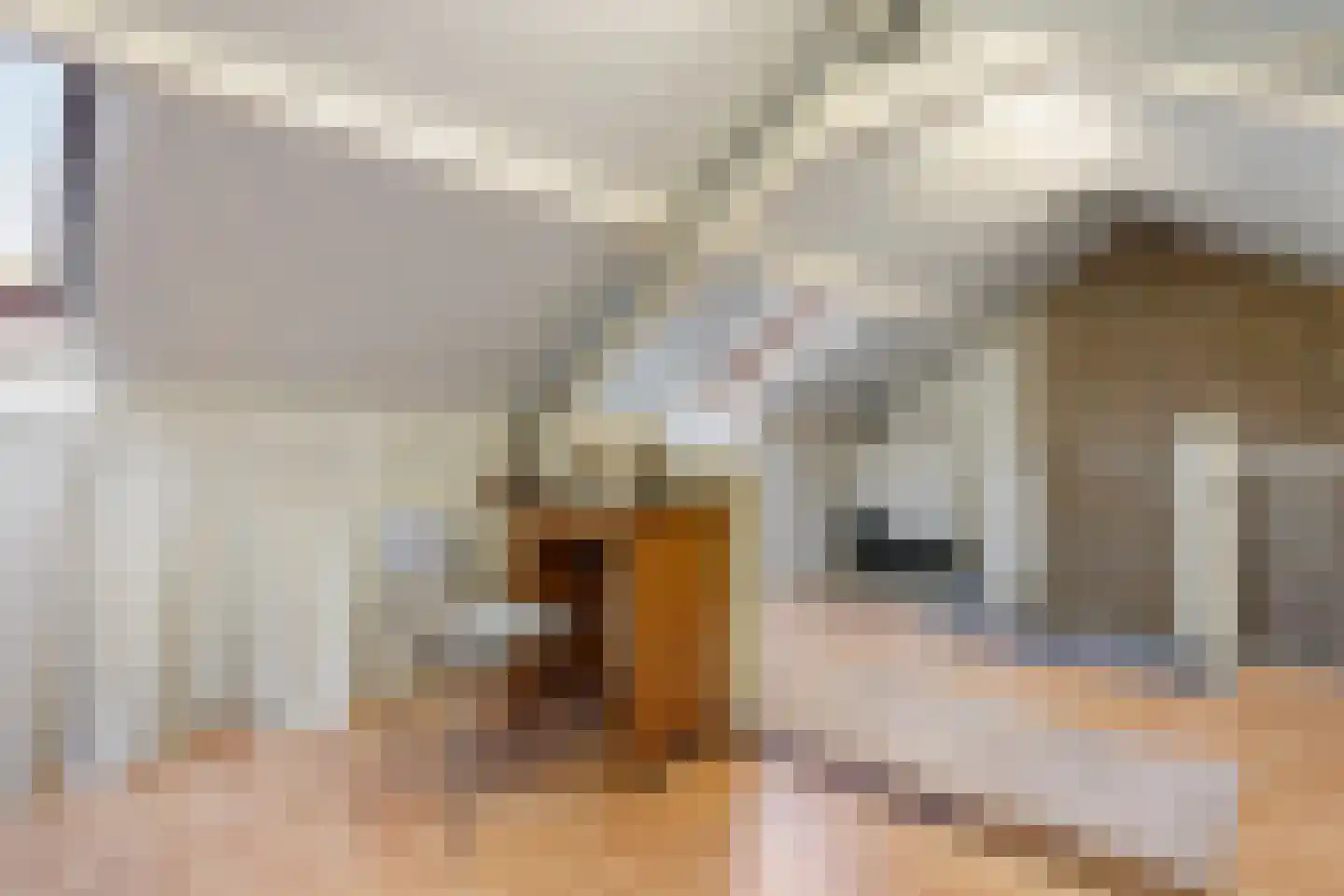 Vivaldistraat 95 Tilburg thumbnail 22
