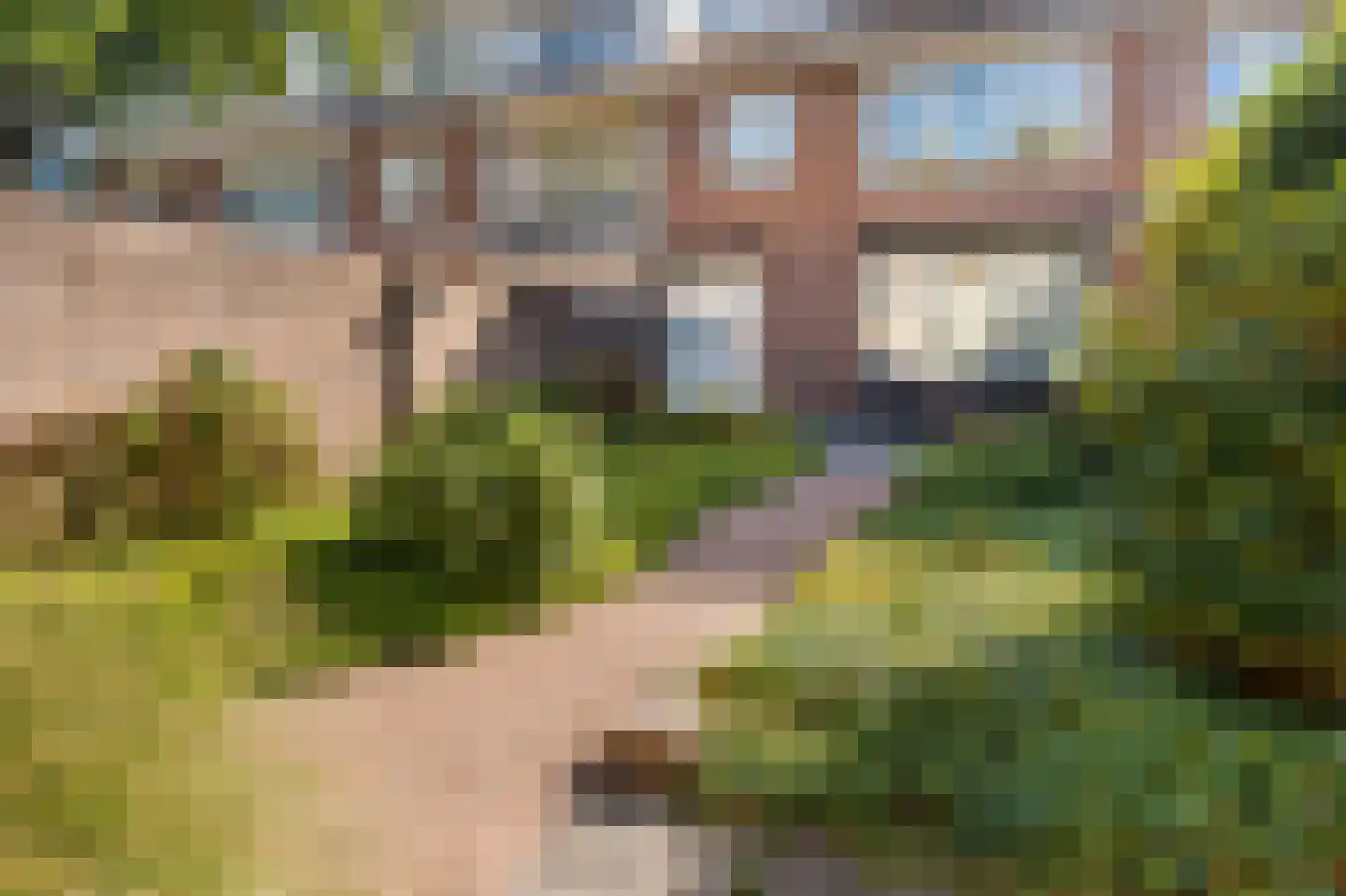 Vivaldistraat 95 Tilburg thumbnail 24