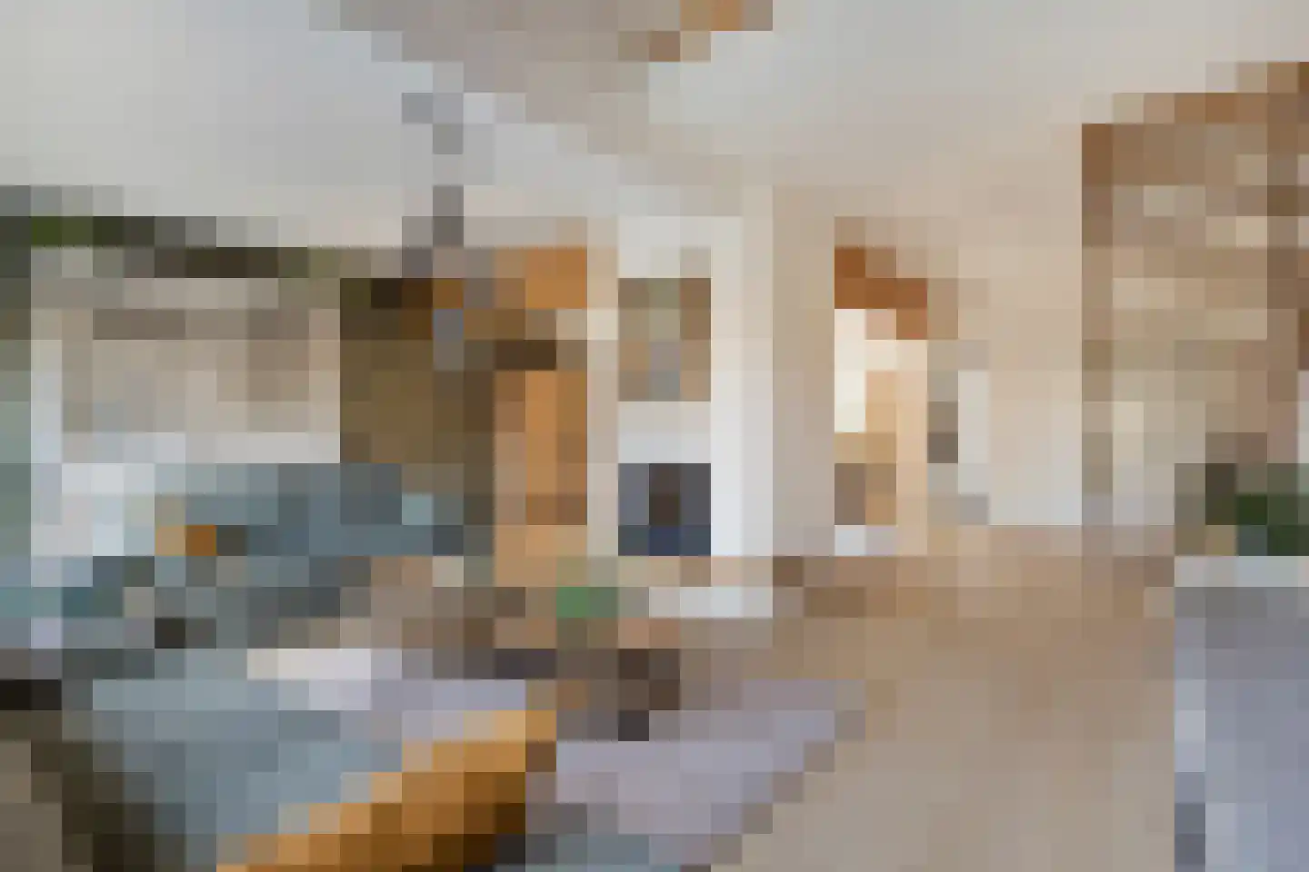 Vivaldiweg 29 Bunschoten-Spakenburg thumbnail 13