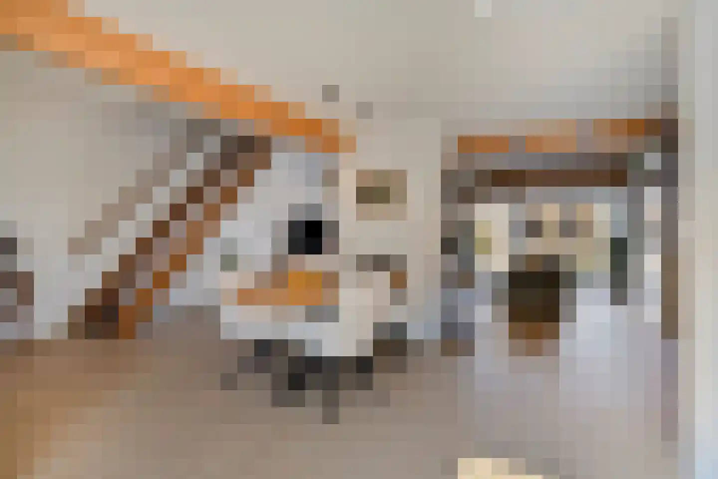 Vivaldiweg 29 Bunschoten-Spakenburg thumbnail 18