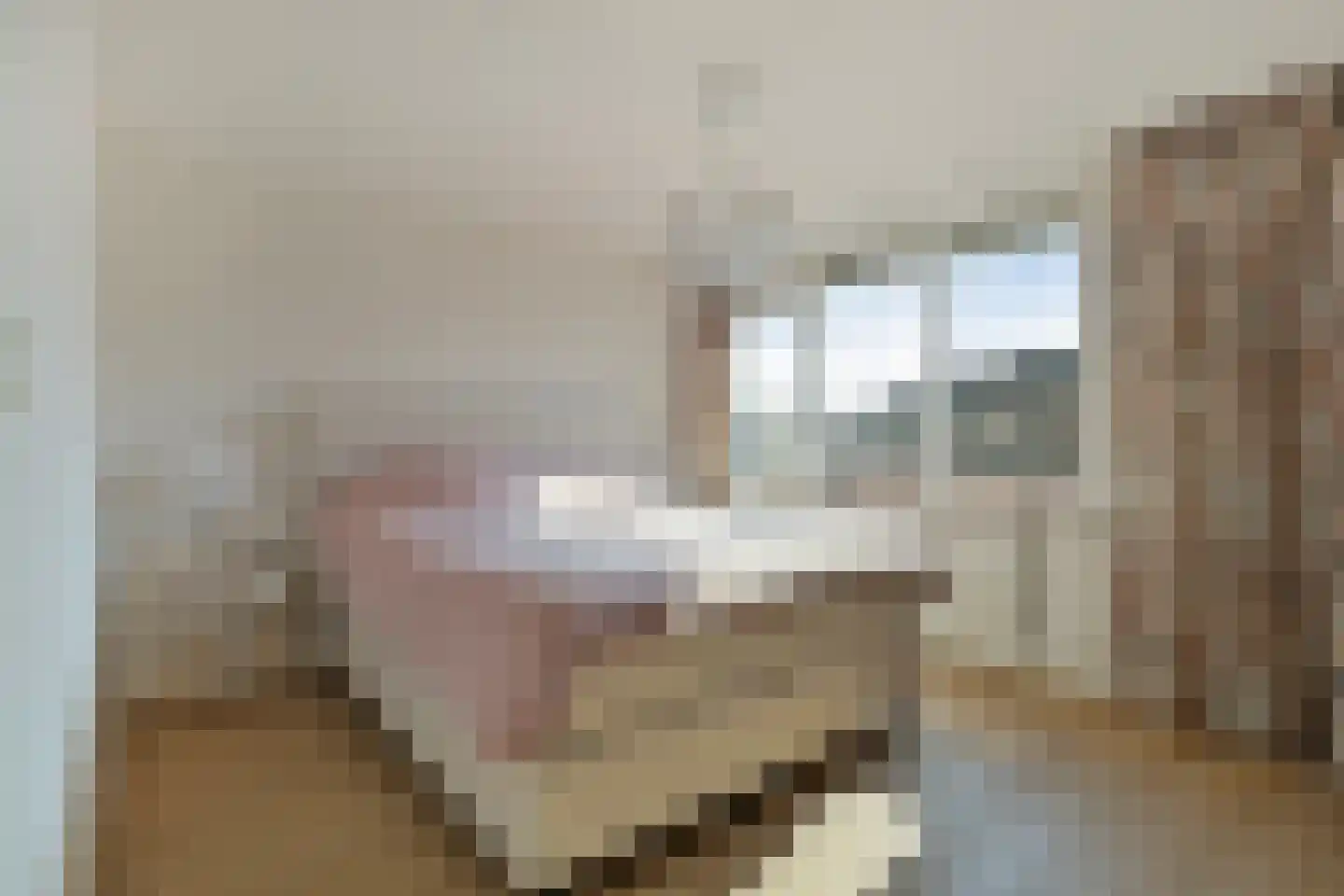 Vivaldiweg 29 Bunschoten-Spakenburg thumbnail 26