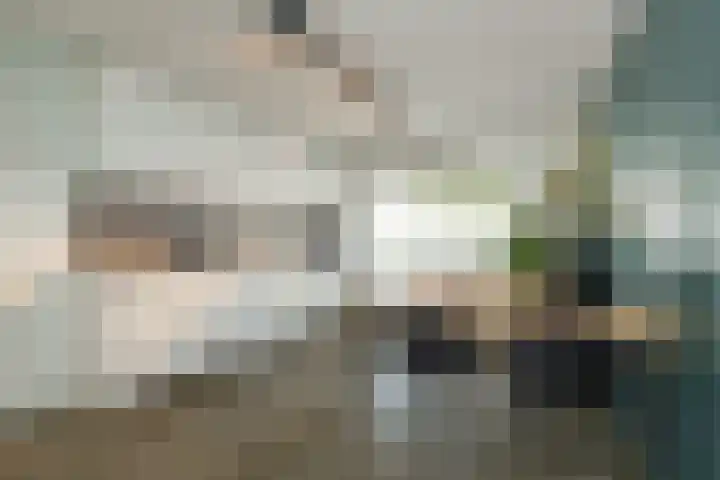 Viverlaan 20 Noordwijk thumbnail 12