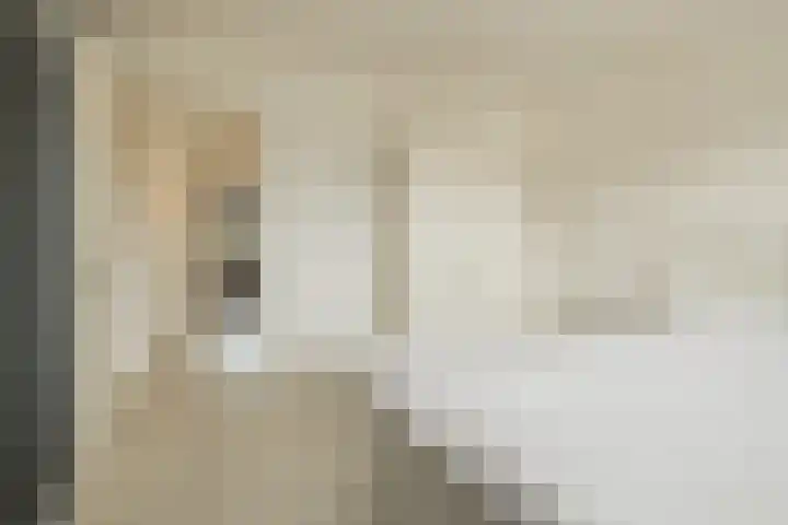 Viverlaan 20 Noordwijk thumbnail 23