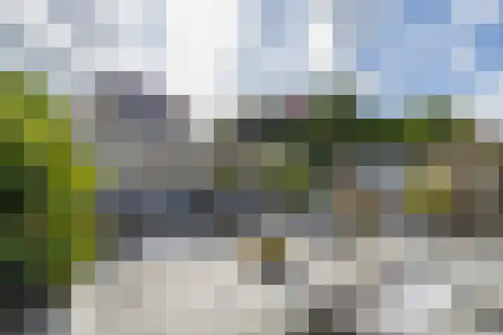 Viverlaan 20 Noordwijk thumbnail 32