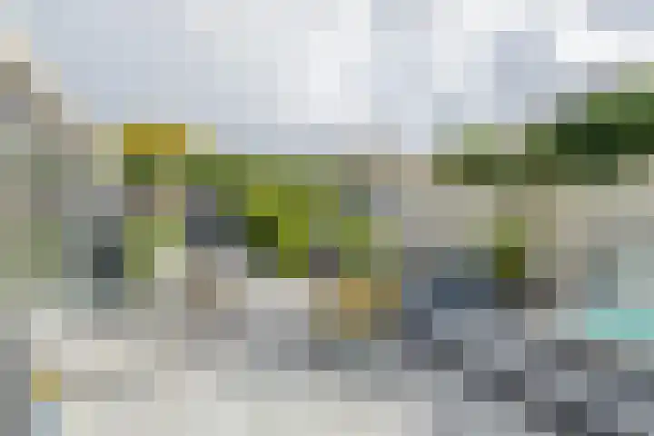 Viverlaan 20 Noordwijk thumbnail 33