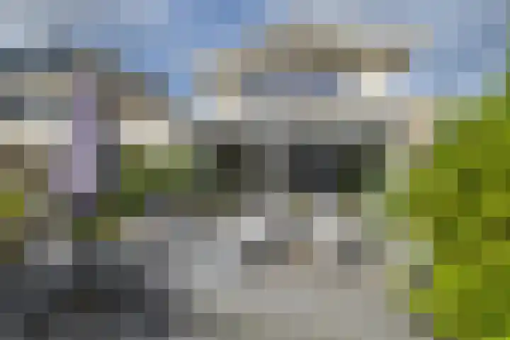 Viverlaan 20 Noordwijk thumbnail 34