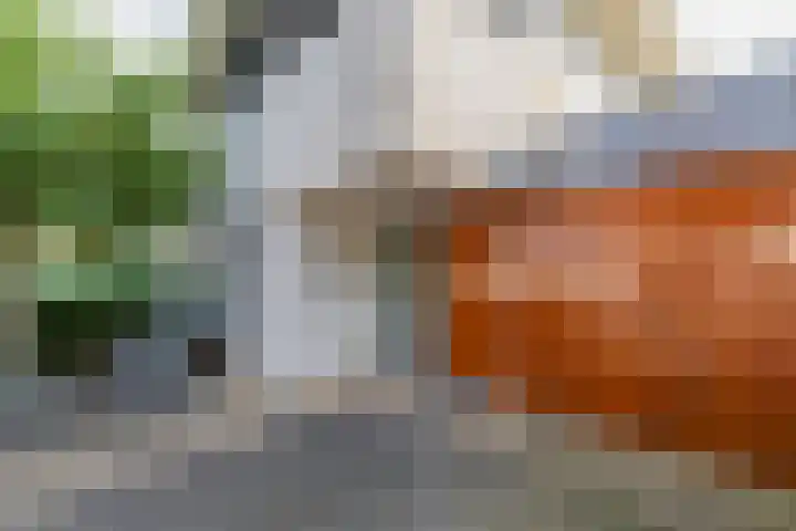 Viverlaan 20 Noordwijk thumbnail 4