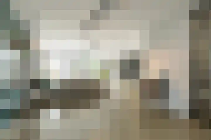 Viverlaan 20 Noordwijk thumbnail 6