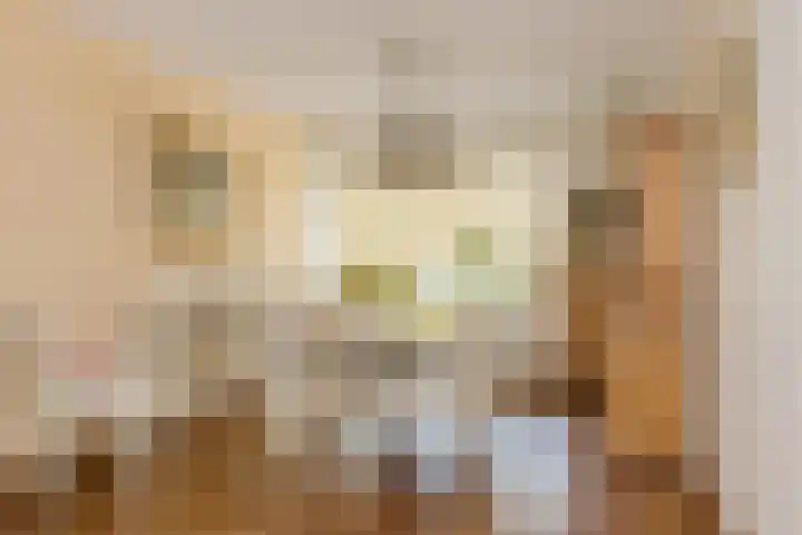 Viverlaan 6 Noordwijk thumbnail 12