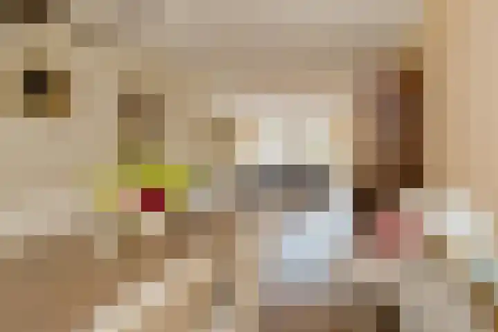 Viverlaan 6 Noordwijk thumbnail 14