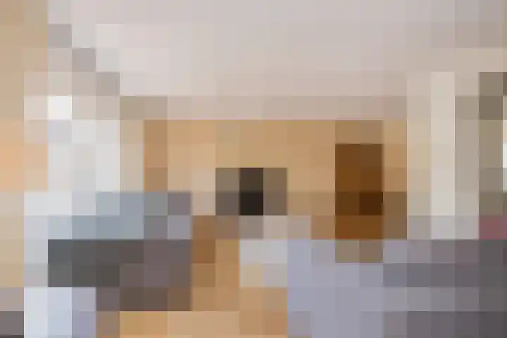 Viverlaan 6 Noordwijk thumbnail 17