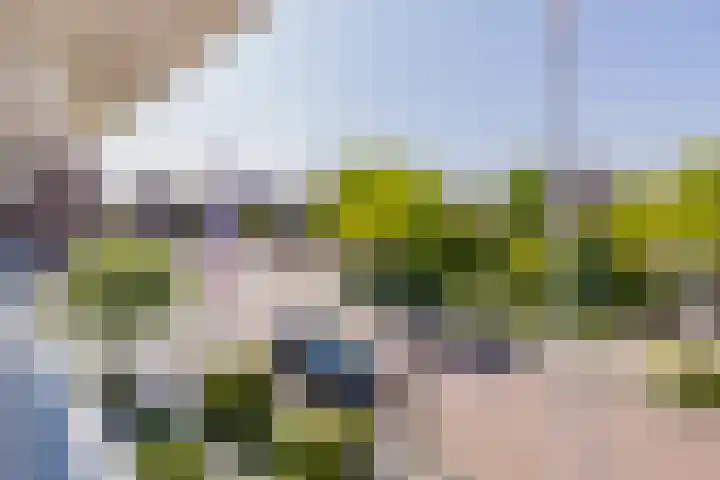 Viverlaan 6 Noordwijk thumbnail 32