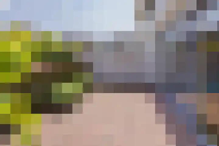 Viverlaan 6 Noordwijk thumbnail 46