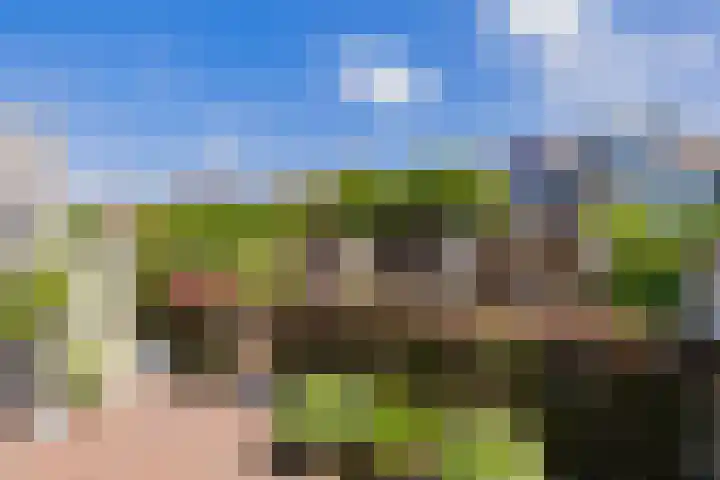 Viverlaan 6 Noordwijk thumbnail 48