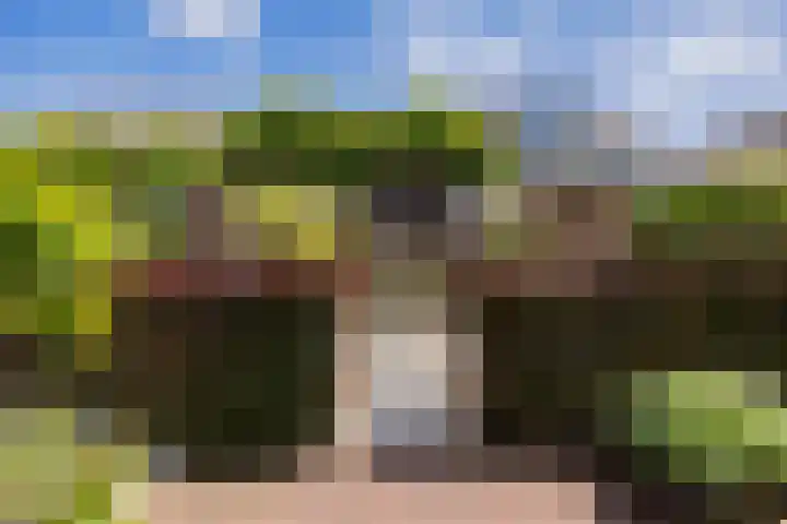 Viverlaan 6 Noordwijk thumbnail 49