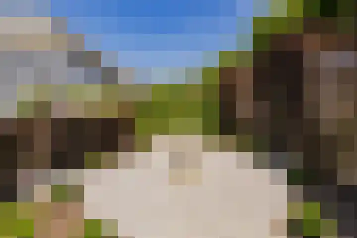 Viverlaan 6 Noordwijk thumbnail 50