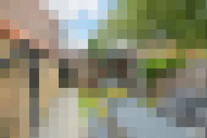 Viveslaan 10 Breda thumbnail 29