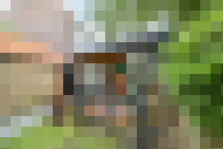 Viveslaan 10 Breda thumbnail 34