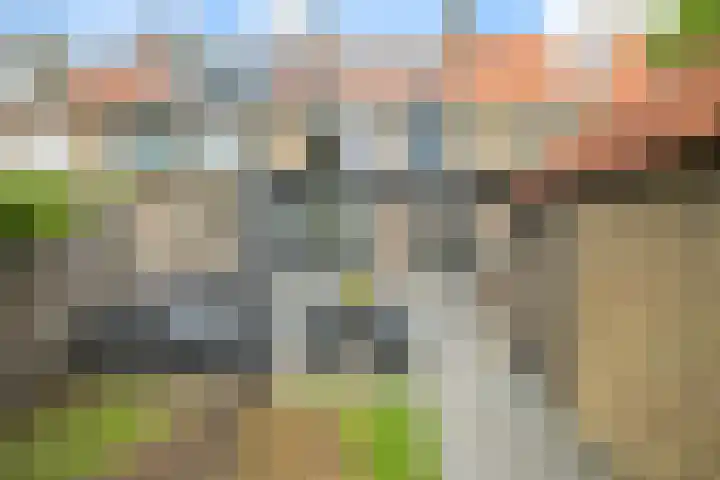 Viveslaan 10 Breda thumbnail 37