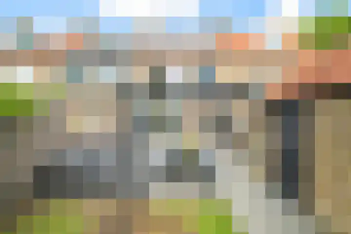 Viveslaan 10 Breda thumbnail 38