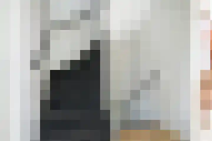 Viveslaan 10 Breda thumbnail 39