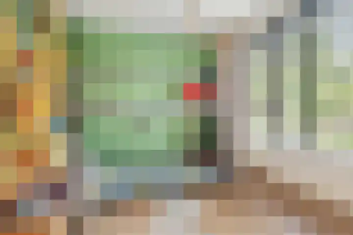 Viveslaan 10 Breda thumbnail 40