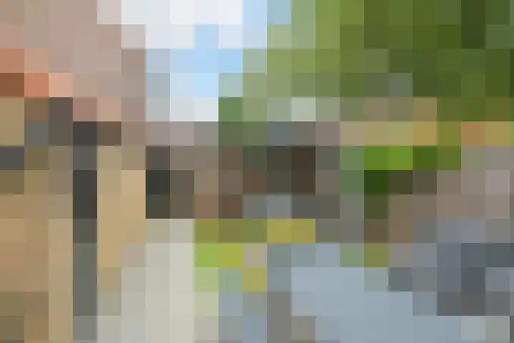 Viveslaan 10 Breda thumbnail 5