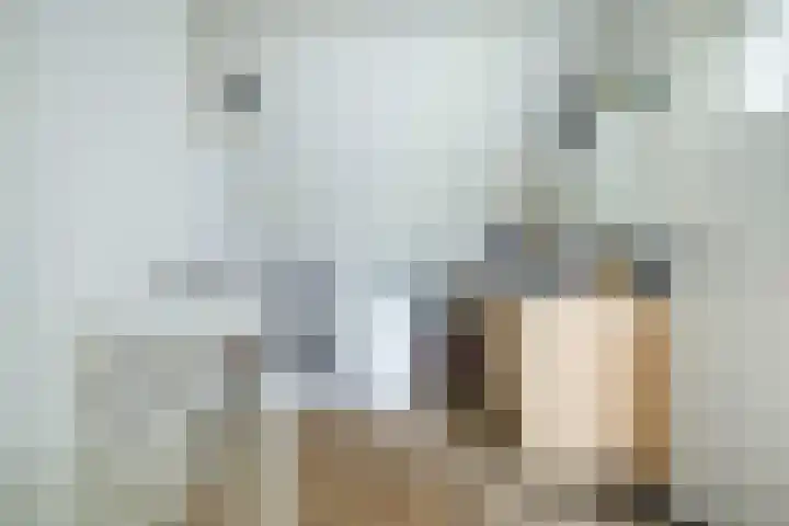 Viveslaan 10 Breda thumbnail 50