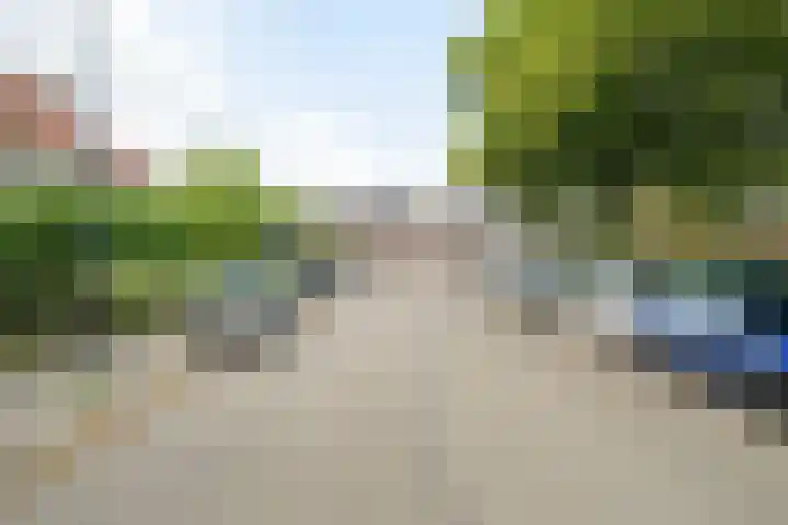 Viveslaan 10 Breda thumbnail 54
