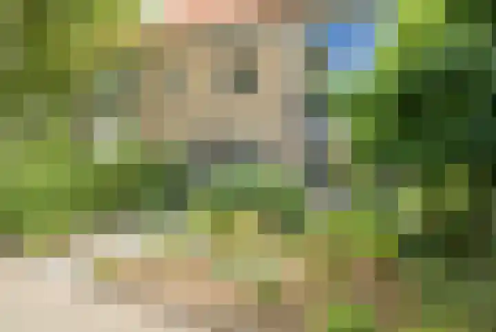 Viveslaan 10 Breda thumbnail 8