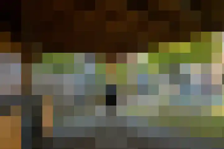 Viveslaan 66 Breda thumbnail 27