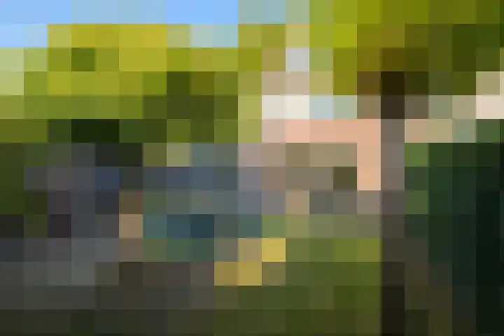 Viveslaan 66 Breda thumbnail 29