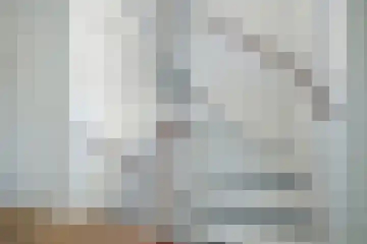 Viveslaan 66 Breda thumbnail 31