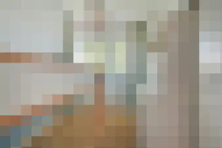 Viveslaan 66 Breda thumbnail 32
