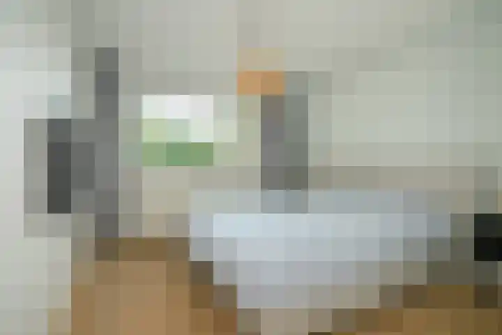 Viveslaan 66 Breda thumbnail 34