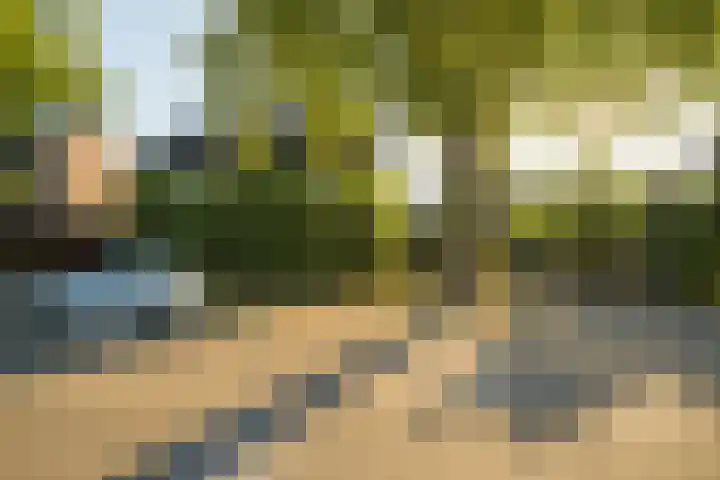 Viveslaan 66 Breda thumbnail 47