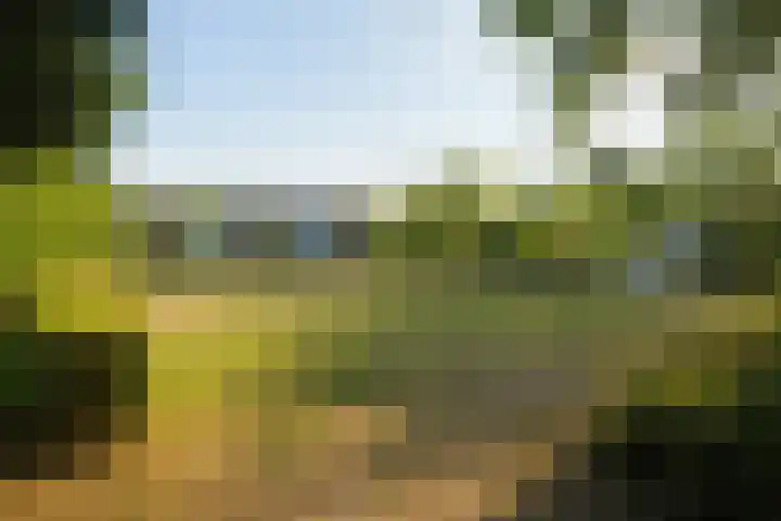 Viveslaan 66 Breda thumbnail 49