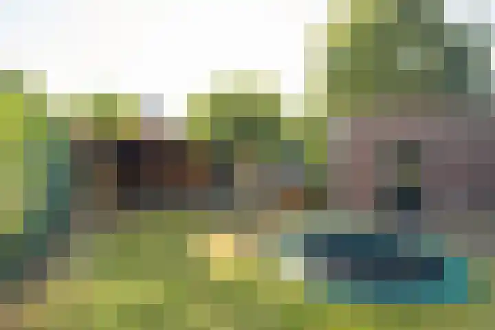 Viveslaan 66 Breda thumbnail 5