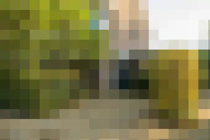 Viveslaan 66 Breda thumbnail 7