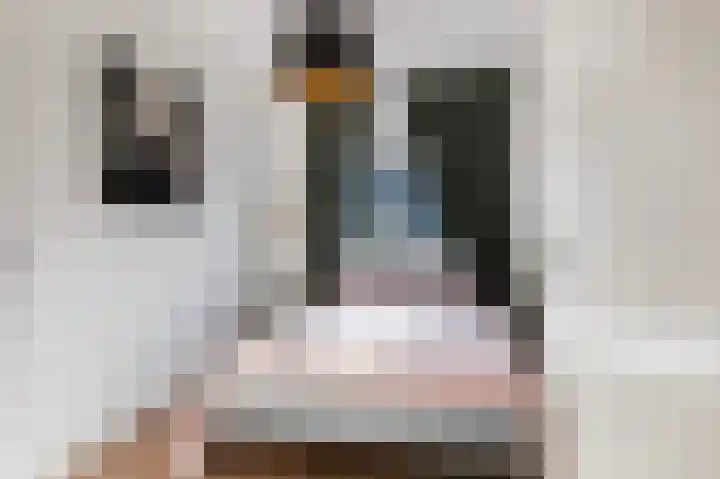 Vixseboxsestraat 12 Almelo thumbnail 27