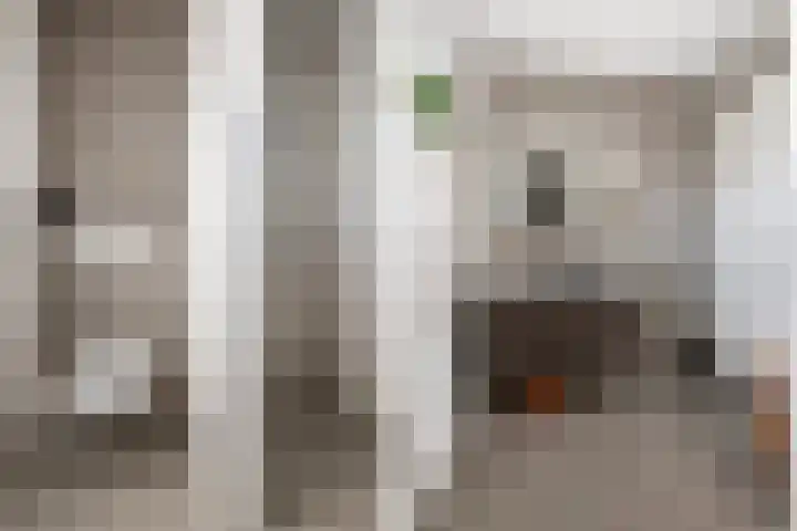 Vixseboxsestraat 12 Almelo thumbnail 30