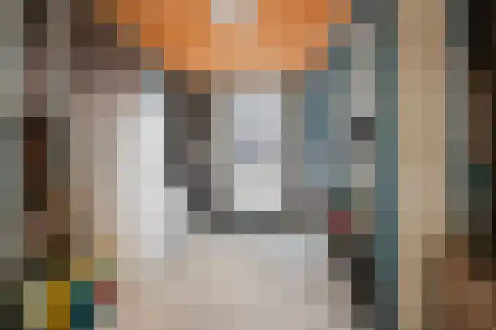 Vixseboxsestraat 12 Almelo thumbnail 34