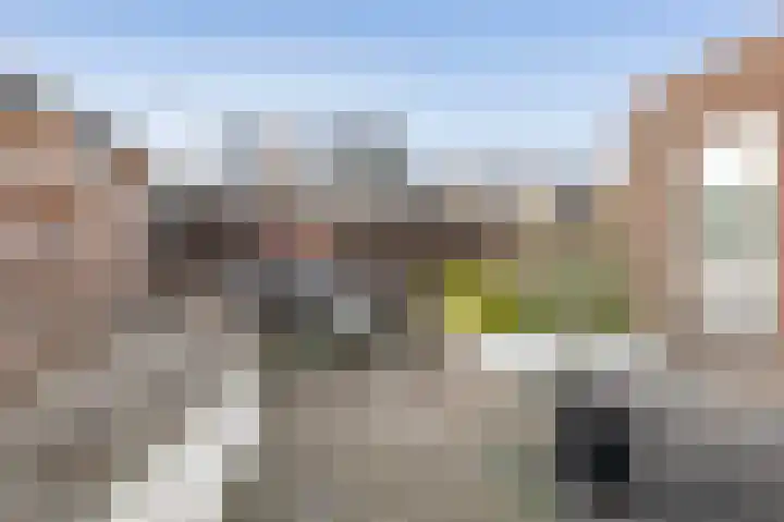Vixseboxsestraat 12 Almelo thumbnail 38