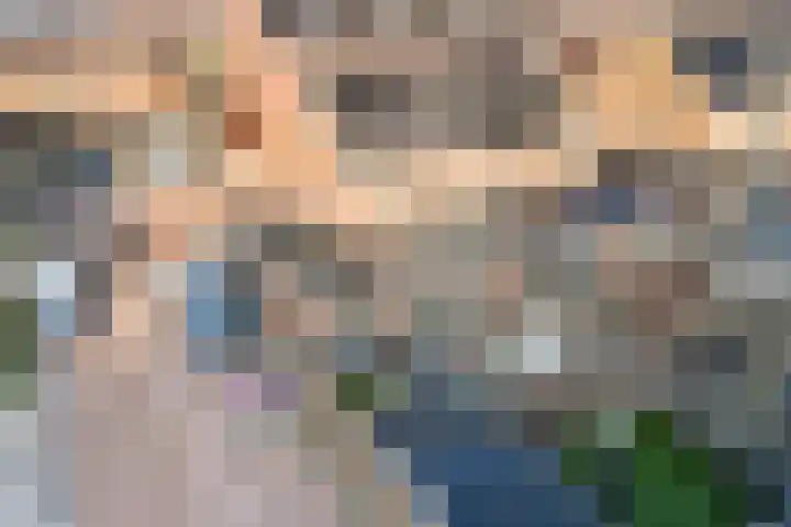 Vixseboxsestraat 12 Almelo thumbnail 44