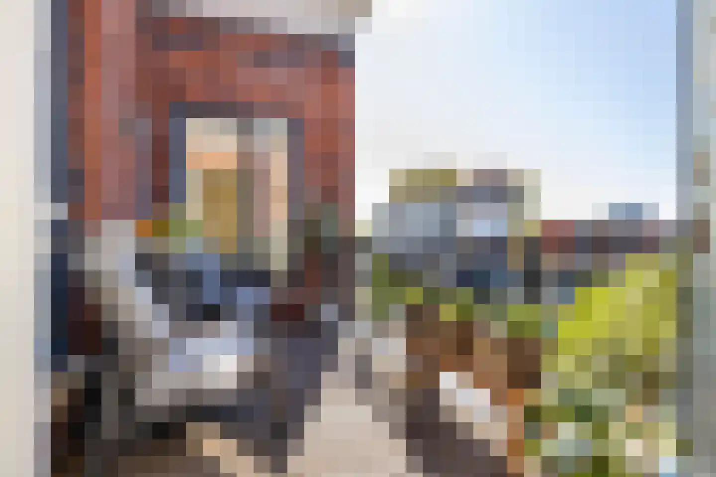 Vixseboxsestraat 45 Almelo thumbnail 11