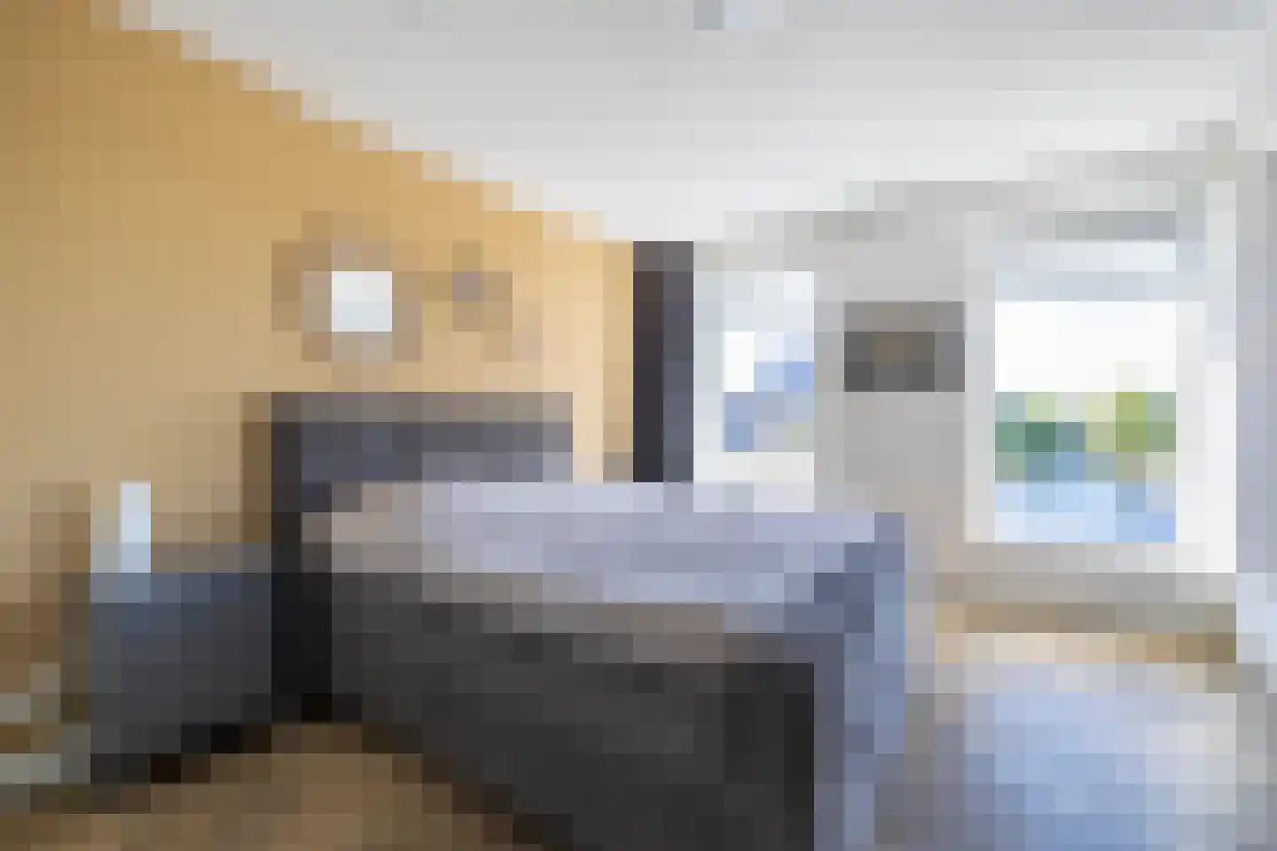 Vixseboxsestraat 45 Almelo thumbnail 18