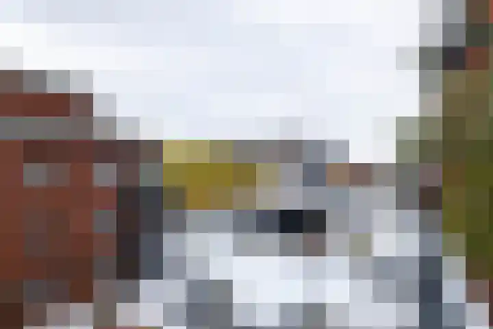 Vixseboxsestraat 49 Almelo thumbnail 23