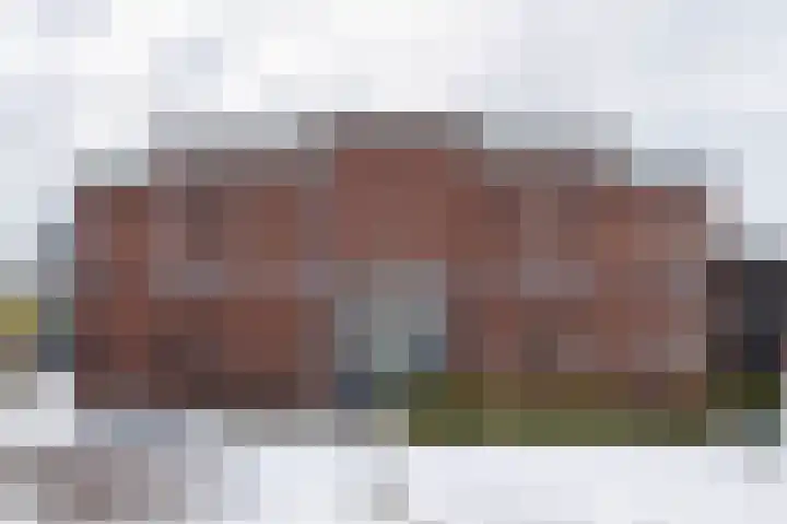 Vixseboxsestraat 49 Almelo thumbnail 32